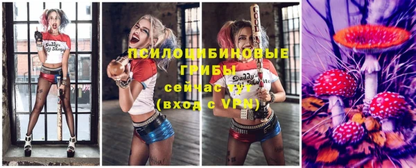 СК Белокуриха