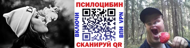 Псилоцибиновые грибы GOLDEN TEACHER Наро-Фоминск